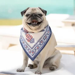 Pomegranate Inc Block Printed Sagar Red & Blue Napkins Hot