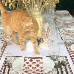 Pomegranate Inc India Hicks Carnations Napkins Clearance