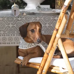 Pomegranate Inc India Hicks Home Medals & Mustaches Tablecloth Online